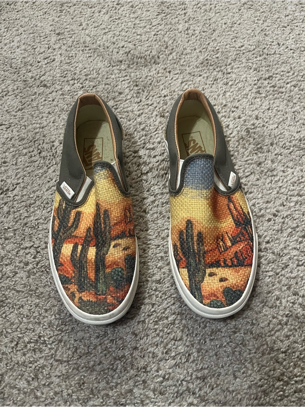 Western vans slip on sneakers